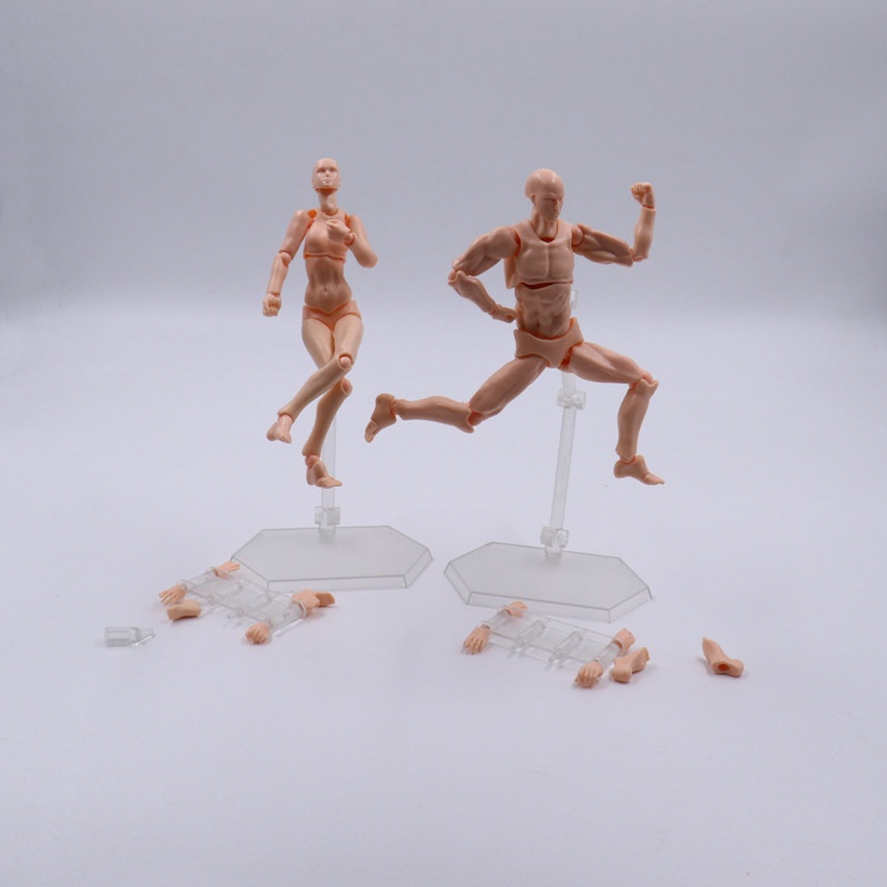 โมเดลข้อต่อมนุษย์แบบขยับได้ ฟิ - Good Smile Company Figma บทวิจารณ์และราคา